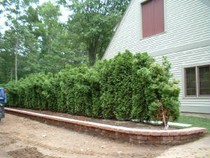 CurvedBrickDriveway.jpg
