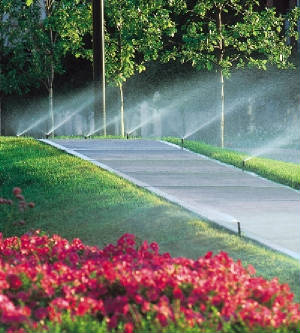 Irrigation/irrigationflowers.jpg