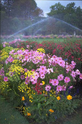 Irrigation/IrrigationFlowerbed.jpg