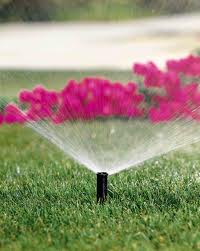 Irrigation/Irrigationflower.jpg