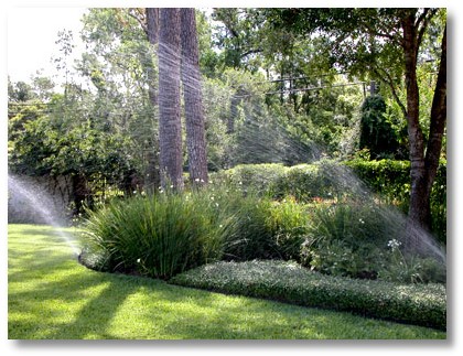Irrigation/irrigationPlantbed.jpg